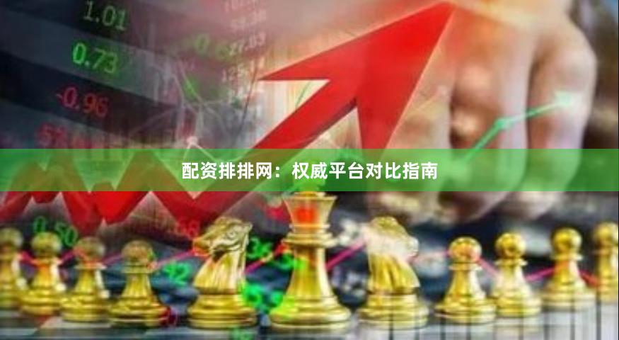 配资排排网：权威平台对比指南