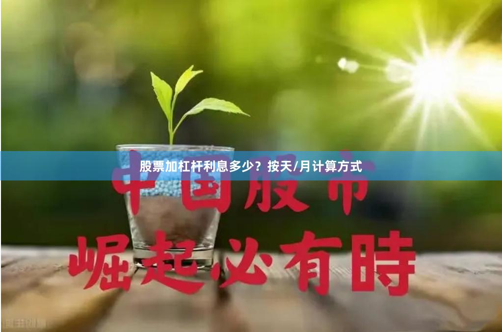 股票加杠杆利息多少?按天/月计算方式
